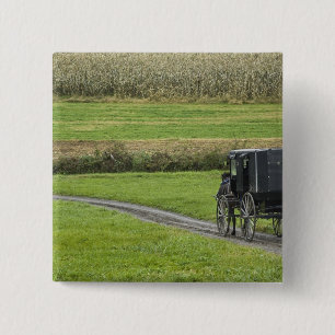 Amish buggy on farm lane, Northeastern Ohio, Button