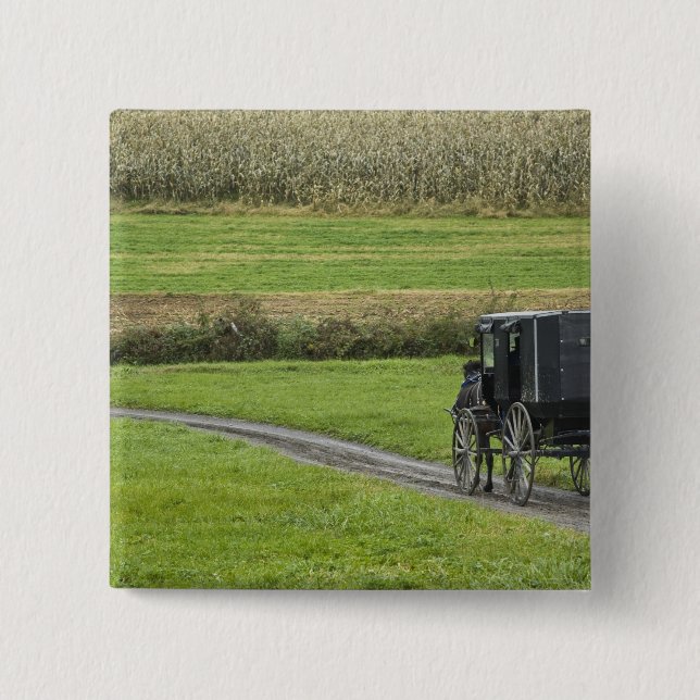 Amish buggy on farm lane, Northeastern Ohio, Button (Front)