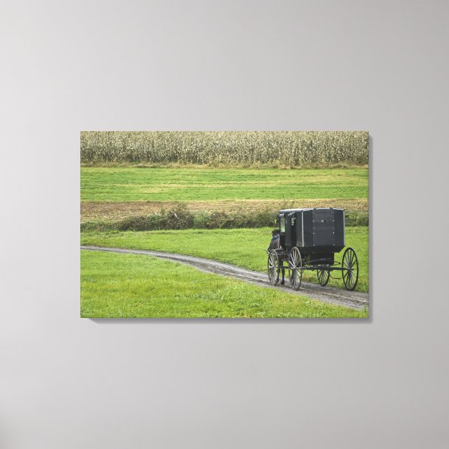 Amish buggy on farm lane, Northeastern Ohio, Canvas Print (Front)