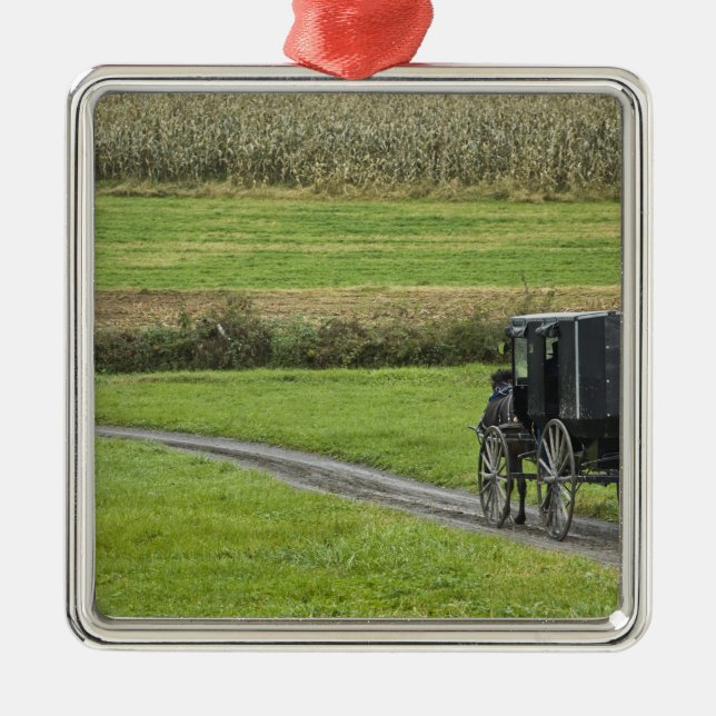 Amish buggy on farm lane, Northeastern Ohio, Metal Ornament (Front)