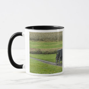 Amish buggy on farm lane, Northeastern Ohio, Mug