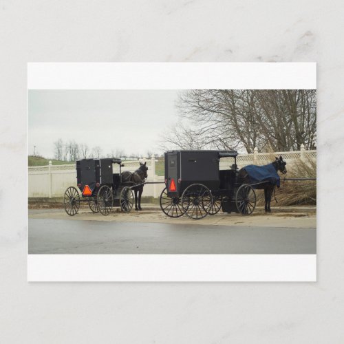 Amish Buggy Parking Lot Postcard