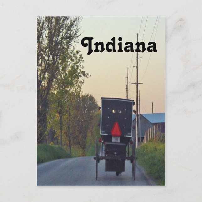Amish Buggy Postcard (Front)