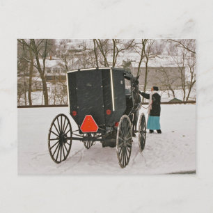 Amish Buggy-Postcard Postcard