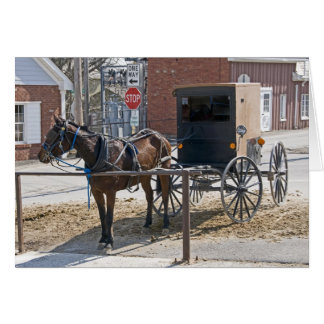Amish Cards