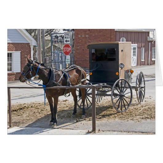 Amish Cards (Front Horizontal)