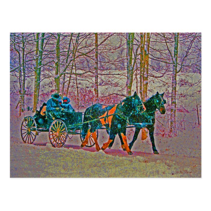 Amish Country Winter Carriage Ride Postcard 