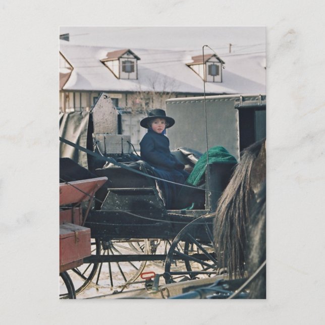 Amish Child in Buggy-Postcard Postcard (Front)