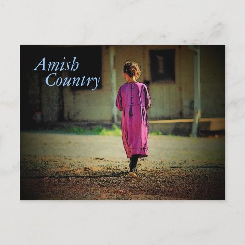 Amish Country Girl Postcard
