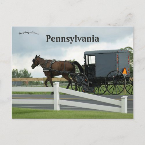 Amish Country in Lancaster Pennsylvania Postcard