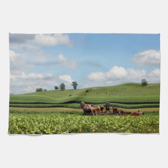 Amish Country Kitchen Towel (Horizontal)