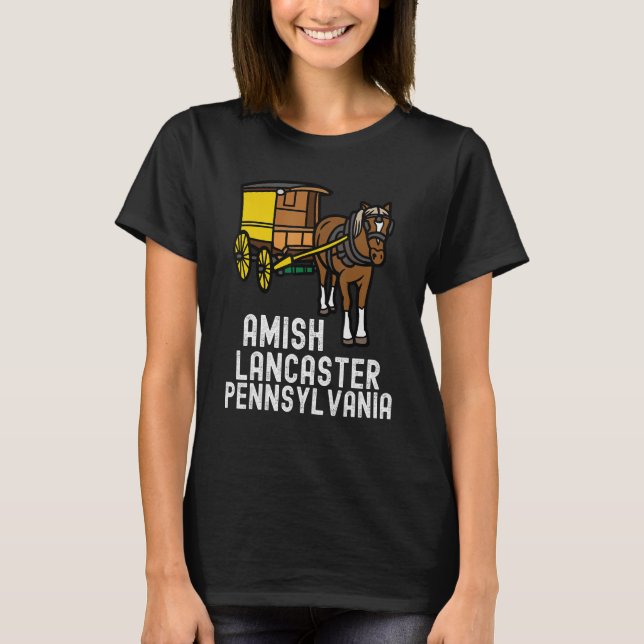 Amish Country Pennsylvania  Horse And Carriage 2 T-Shirt (Front)