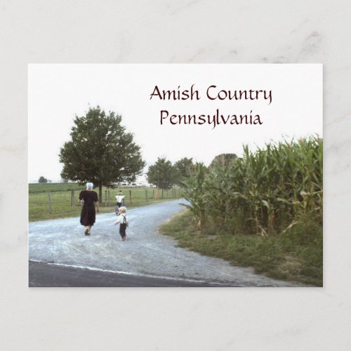 Amish Country Pennsylvania PA Postcard