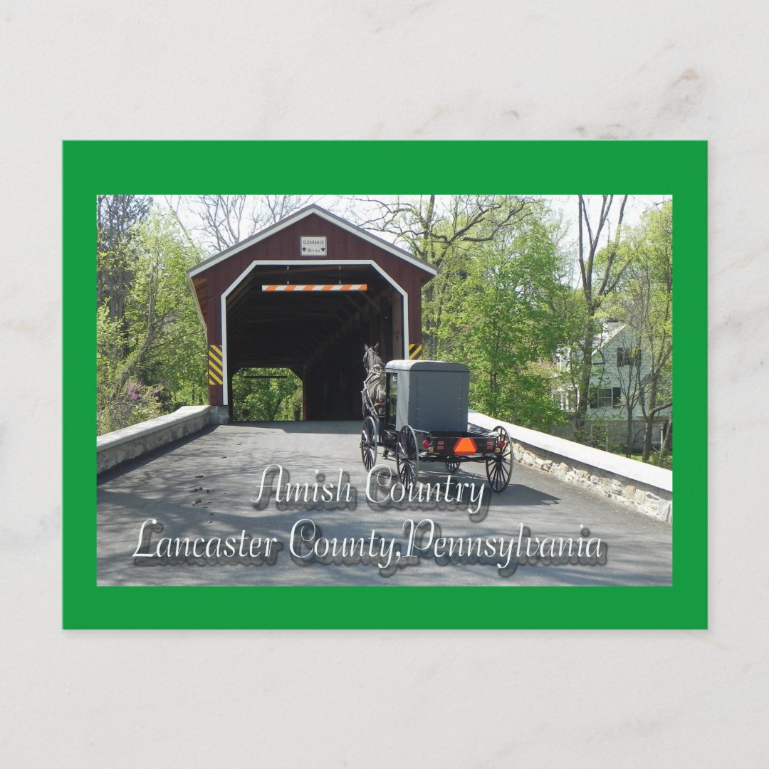 Amish Country Postcard Zazzle