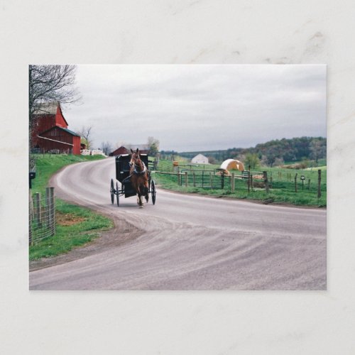 Amish Country Road Postcard