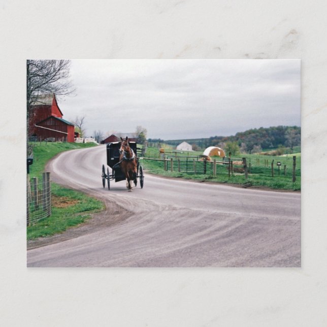 Amish Country Road Postcard (Front)