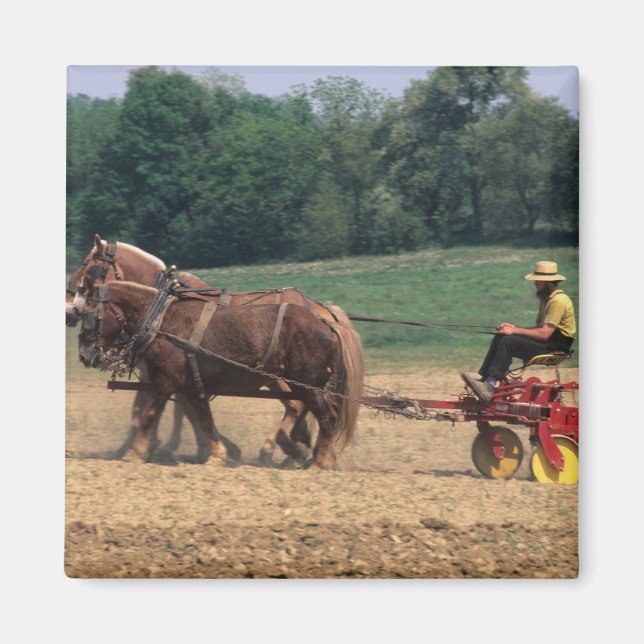 Amish Country simple people in farming with Magnet (Front)