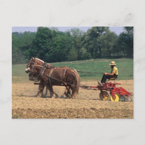 Amish Country simple people in farming with Postcard