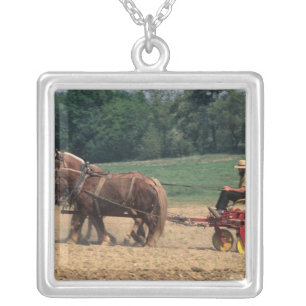 Amish Country simple people in farming with Silver Plated Necklace