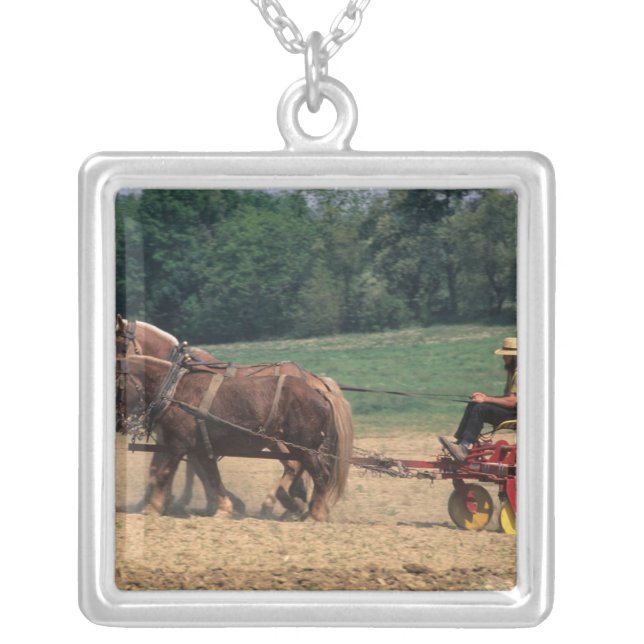 Amish Country simple people in farming with Silver Plated Necklace (Front)