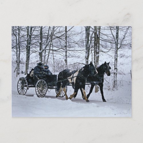 Amish Country Winter Carriage Ride_Postcard Postcard