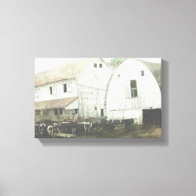 Amish Dairy Black and White Canvas Print (Front)