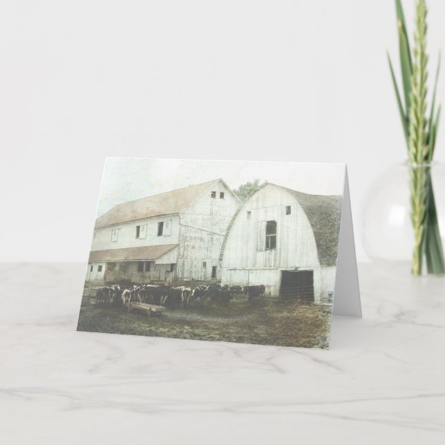 Amish Dairy Card (Front)