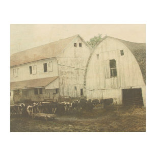 Amish Dairy Cows Wood Wall Decor