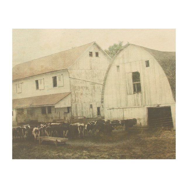 Amish Dairy Cows Wood Wall Decor (Front)