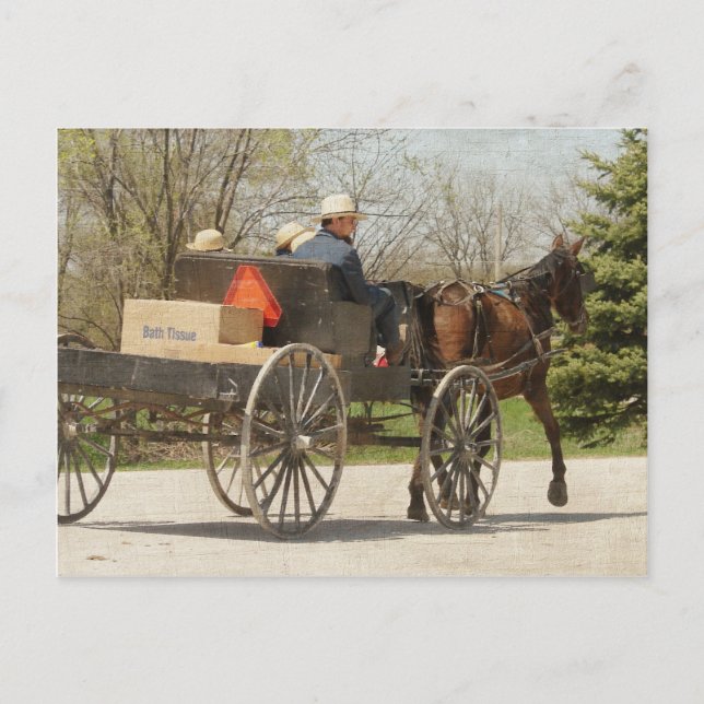 Amish Family Heading Home Postcard (Front)