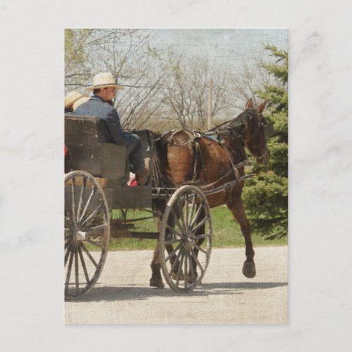 Amish Family Heading Home Postcard