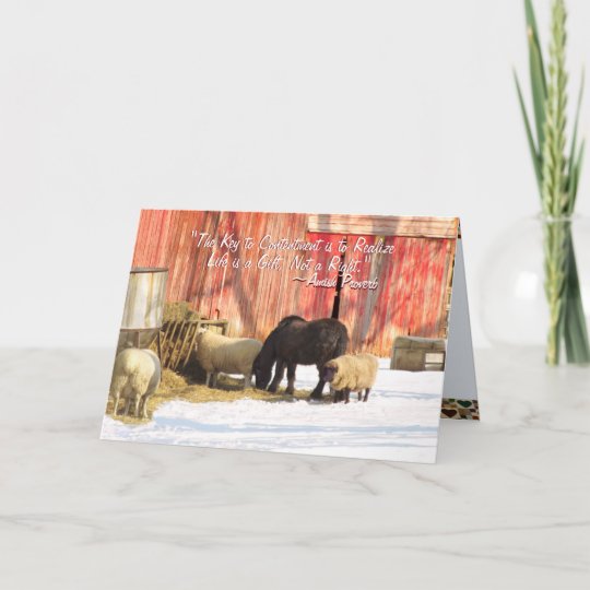 Amish Farm Christmas Cards | Zazzle.com
