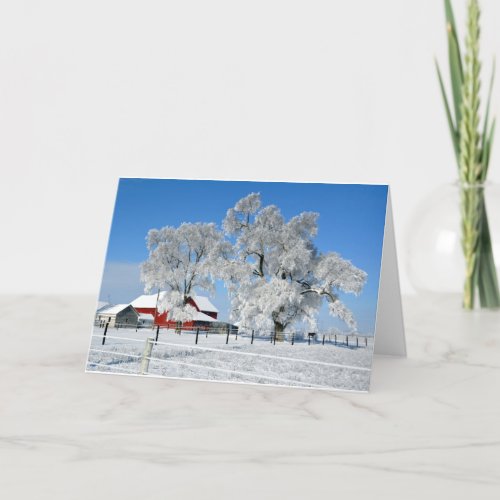 Amish Farm Ice Tree Holiday Card