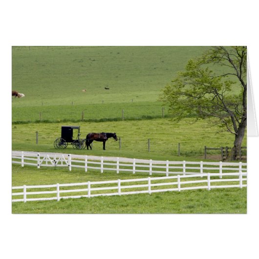 Amish farm with horse and buggy near Berlin, (Front Horizontal)