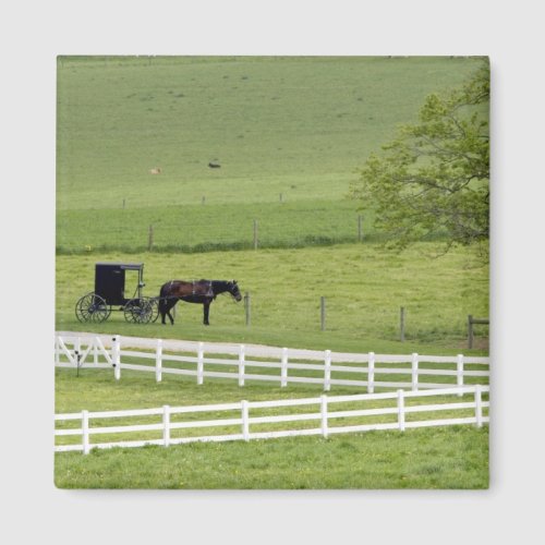 Amish farm with horse and buggy near Berlin Magnet