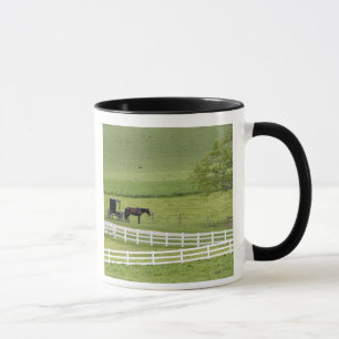 Amish farm with horse and buggy near Berlin, Mug