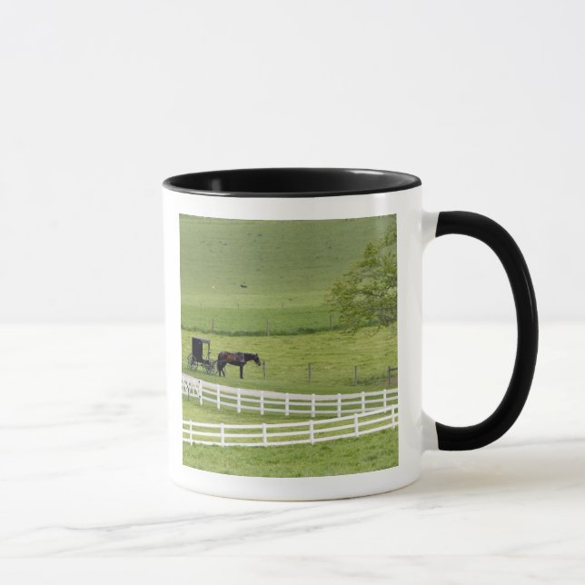 Amish farm with horse and buggy near Berlin, Mug (Right)