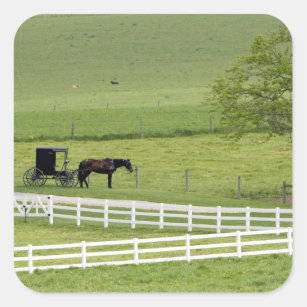 Amish farm with horse and buggy near Berlin, Square Sticker