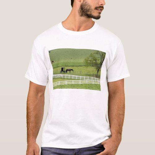 Amish farm with horse and buggy near Berlin T_Shirt