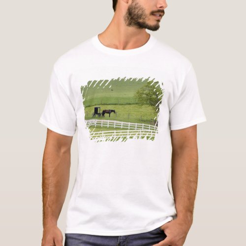 Amish farm with horse and buggy near Berlin T_Shirt