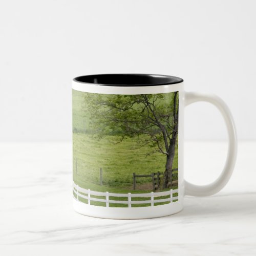 Amish farm with horse and buggy near Berlin Two_Tone Coffee Mug