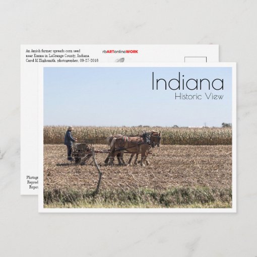 Amish Farmer Planting Corn Postcard Zazzle 0773