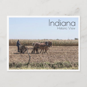 Amish Farmer Planting Corn Postcard