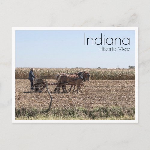 Amish Farmer Planting Corn Postcard