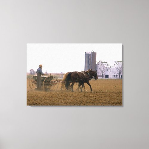 Amish farmer using a horse drawn seed planter canvas print