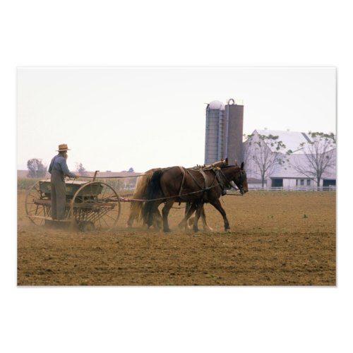 Amish farmer using a horse drawn seed planter photo print