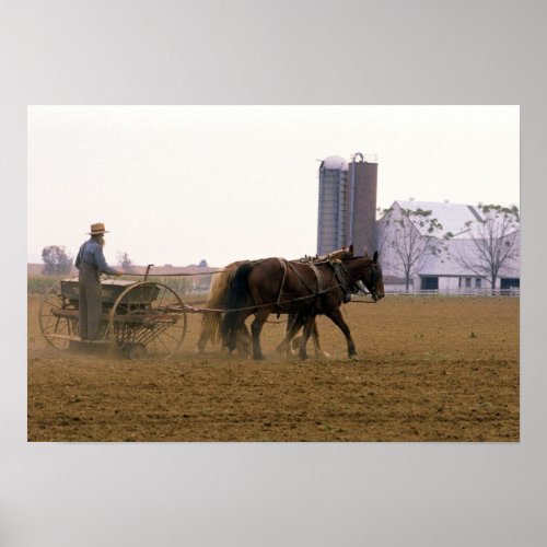 Amish farmer using a horse drawn seed planter poster