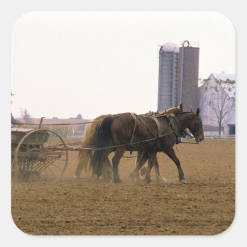Amish farmer using a horse drawn seed planter square sticker