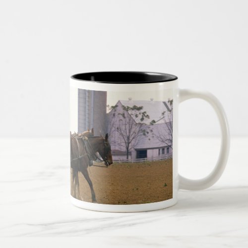 Amish farmer using a horse drawn seed planter Two_Tone coffee mug