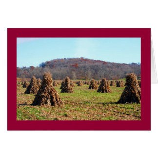Amish Fields Cards